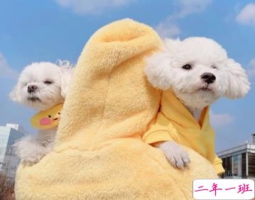 十分经典的黑鸡汤负能量句子 想哭又想笑的心灵鸡汤2