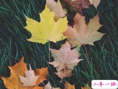 心情不好的说说压抑委屈难过 那些说到心坎的文字2