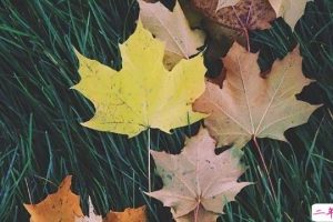 心情不好的说说压抑委屈难过 那些说到心坎的文字