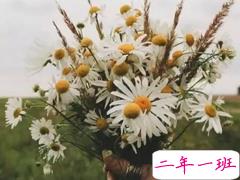 适合你所有情绪的心酸说说短句 心情不好丧丧的时候发的说说