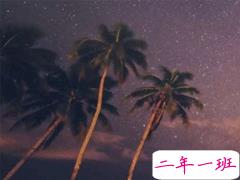 熬夜党专属的朋友圈说说 凌晨发的微信说说大全