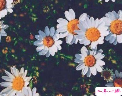 阳光有朝气的朋友圈说说 乐观心态好的短句子1