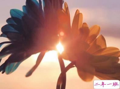 2019寒露节气祝福语大全 寒露微信朋友圈问候语1