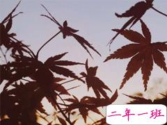 今天好冷的朋友圈说说 变天降温了的说说句子