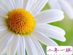 早上好的句子简短暖心 抖音最美早安问候语大全