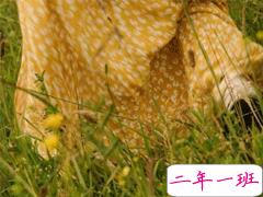 降温了怎么发朋友圈 天气变冷的微信说说