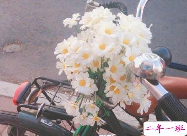 最新朋友圈说说好听小清新 文艺小清新句子大全1