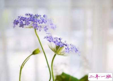 2019十月你好朋友圈早安说说 迎接十月的心情短语2