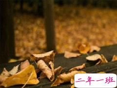 婚姻不幸福的说说朋友圈 婚后心好累的句子2019