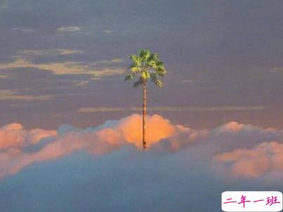 简短文艺小清新文案 朋友圈文艺范说说大全2