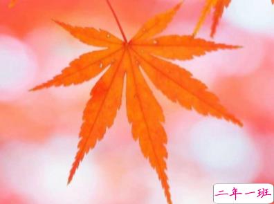 熬过夏天迎来秋天的说说 秋天发朋友圈的说说句子1