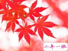 熬过夏天迎来秋天的说说 秋天发朋友圈的说说句子