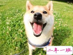 早安调皮句子正能量说说 新的开始正能量早安心语