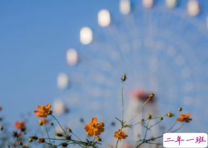 早安朋友圈说说正能量 新的一天新的开始早安暖心话1