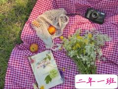 下午茶朋友圈文艺说说 下午茶说说配文简单文艺范