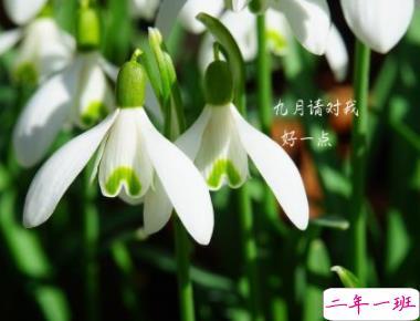 再见八月九月你好的说说2019 最新九月来了的心情说说1