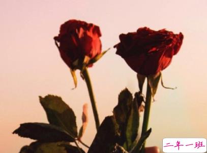 最近很丧的微信说说 内心全是负能量的说说2