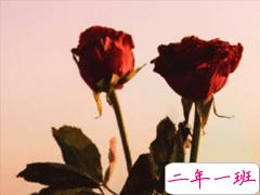 最近很丧的微信说说 内心全是负能量的说说