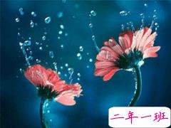 朋友圈很走心的说说简短精辟 值得收藏的一句话说说大全