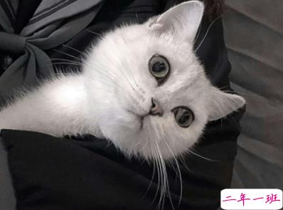 又酷又可爱的短句 小仙女朋友圈调皮说说1