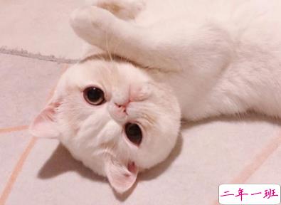 又酷又可爱的短句 小仙女朋友圈调皮说说2