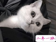 又酷又可爱的短句 小仙女朋友圈调皮说说