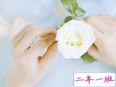 qq留言板暖心句子 让对方看到温暖的句子