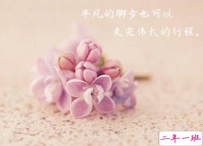 最新一句话的简单早安心语 余生请多指教2