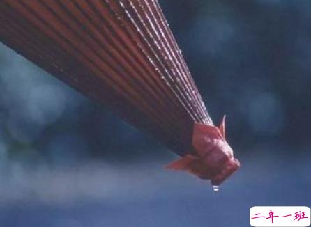 下雨天的说说心情感悟 下雨天心情低落的悲伤句子2