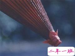 下雨天的说说心情感悟 下雨天心情低落的悲伤句子