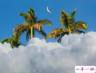 2019七夕情人节祝福的话 七夕简短祝福语一句话2