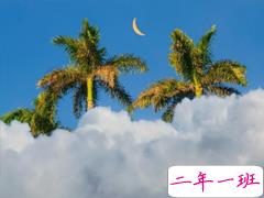 2019七夕情人节祝福的话 七夕简短祝福语一句话