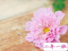 朋友圈怎么低调晒礼物2019 七夕情人节晒礼物的朋友圈说说