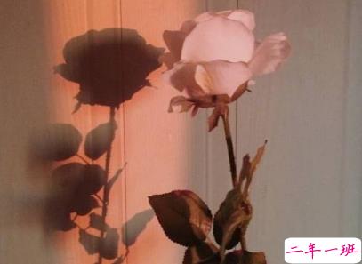 微博心情不好的说说 有点伤感和心酸的心情句子2