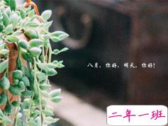 八月你好微博说说大全2019 八月来了发微博的好听说说