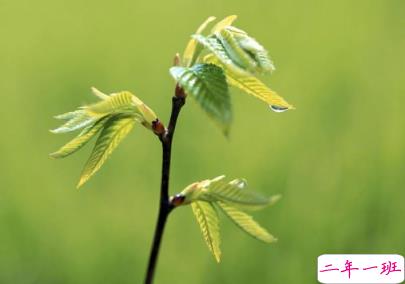 再见7月你好8月说说积极向上 2019充满正能量的八月说说1