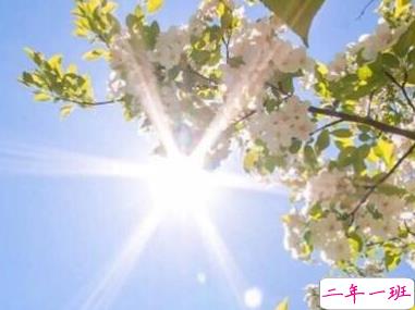 2019夏天好热的说说 天气无敌热的句子1