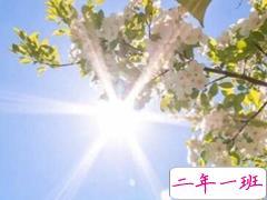 2019夏天好热的说说 天气无敌热的句子