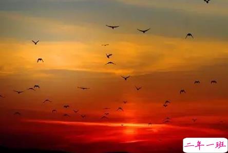 晚上发朋友圈的说说 微信晚安说说经典语录1