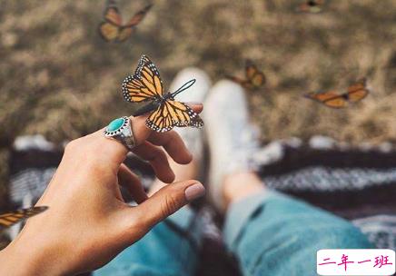 晚上发朋友圈的说说 微信晚安说说经典语录2