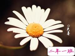 2019最新大暑节气说说大全 大暑微信朋友圈说说心情短语