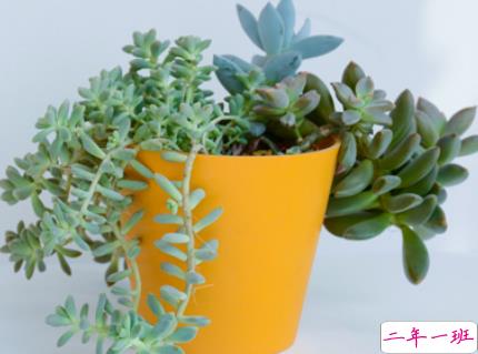 暑假宅在家里的说说 一个人在家的心情短语1