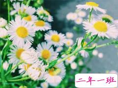 一个人挺好的心情短语 简单舒服的微信心情说说