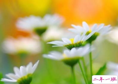 微信早安句子温暖人心 听上去暖暖的一句话早安心语1