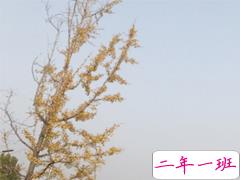 上班犯困的说说大全 朋友圈工作好困想睡觉的说说