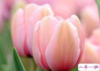 周末愉快的短句子2019最新 周末微信早安说说大全1