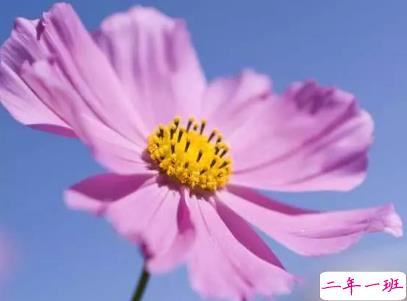 周末愉快的短句子2019最新 周末微信早安说说大全2