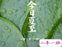 2019适合夏至的朋友圈说说 夏至节气说说精选句子