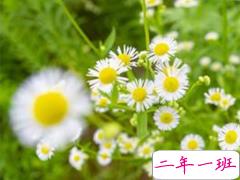 2019最新夏至祝福语致所有人 夏至到来愿你快乐一夏