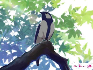 2019夏至节气说说心情短语 夏至微信说说唯美好听2